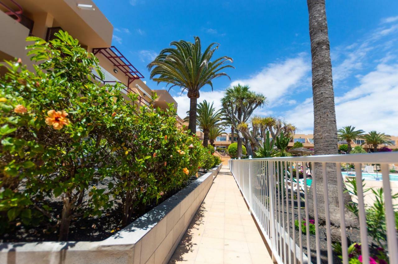 Apartament PoolViewZen Corralejo Zewnętrze zdjęcie