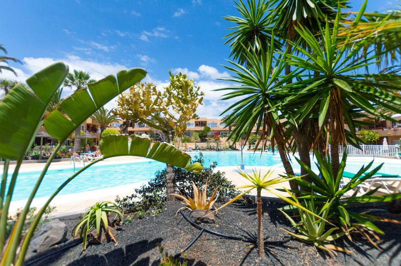 Apartament PoolViewZen Corralejo Zewnętrze zdjęcie