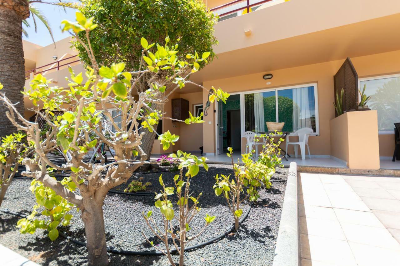Apartament PoolViewZen Corralejo Zewnętrze zdjęcie